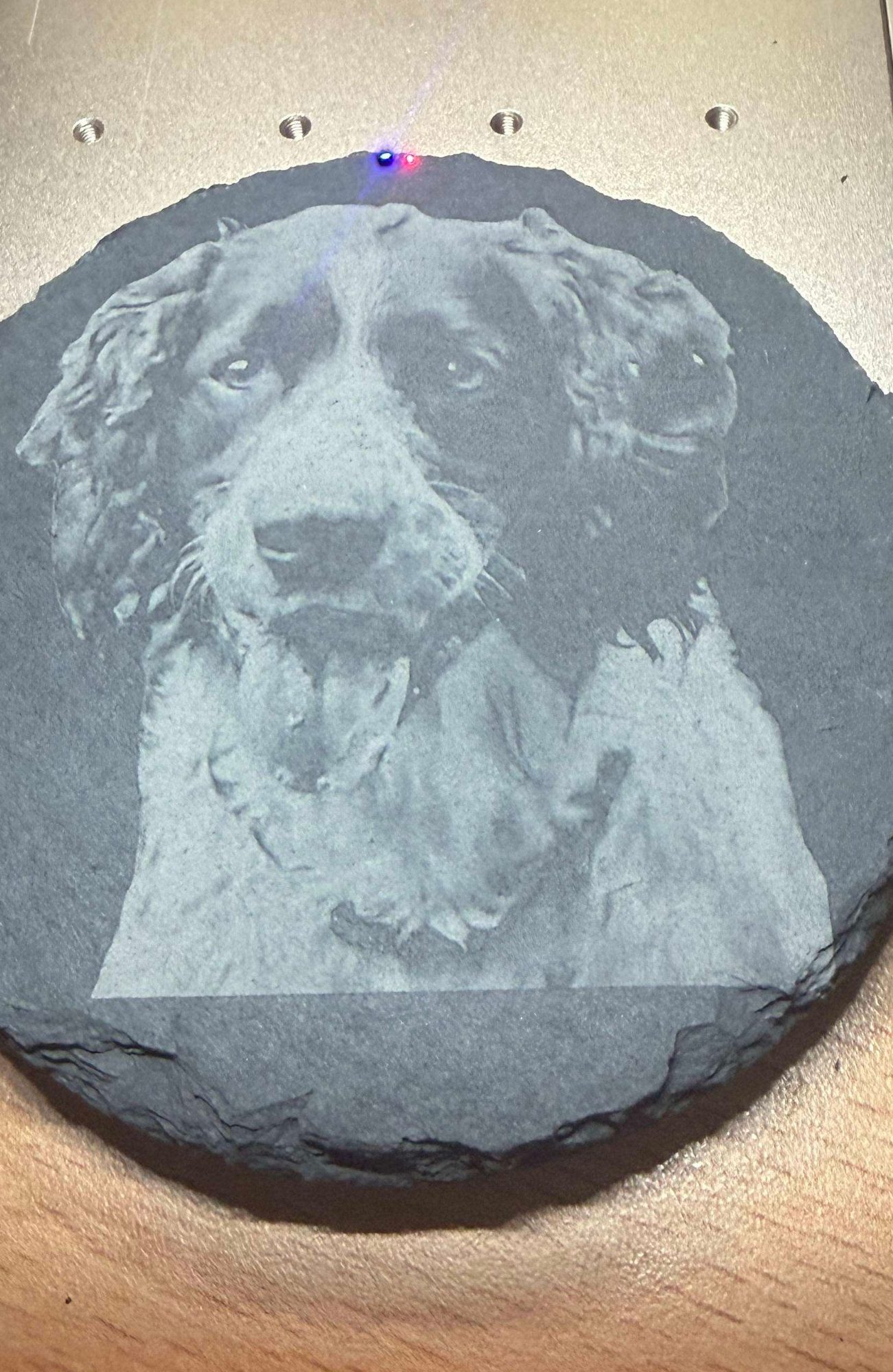 Pet portrait laser engraved onto a round slate keepsake by Jack & Beam